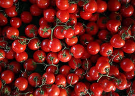Tomates ricos en licopeno - antioxidante natural para la próstata